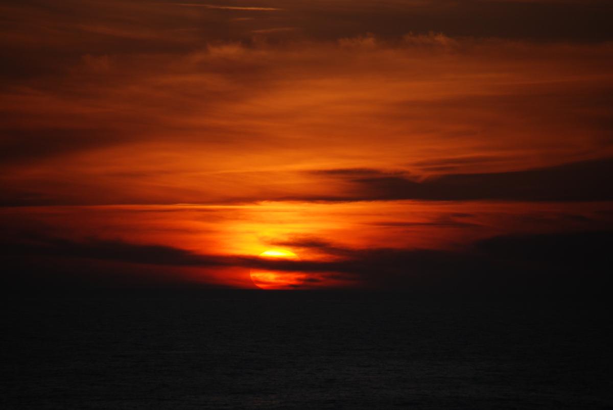 DSC_1619