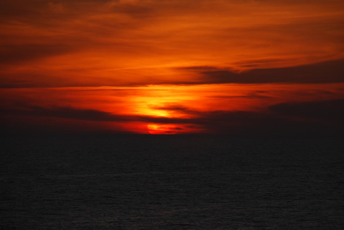 DSC_1620