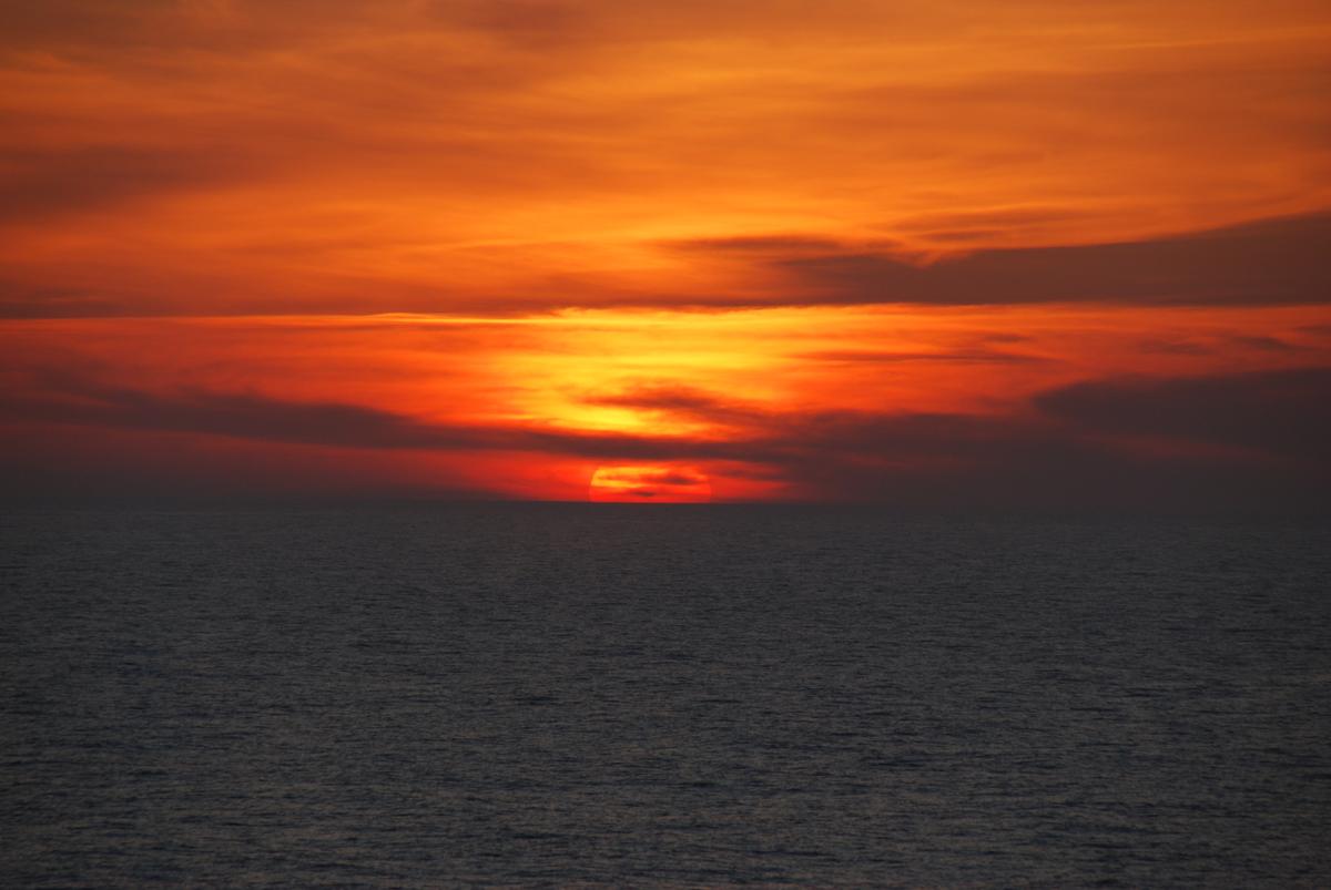 DSC_1621