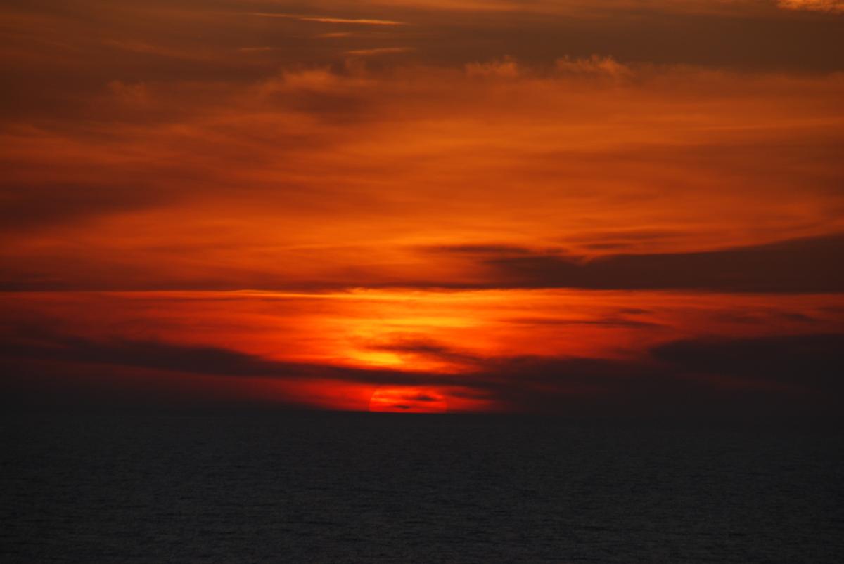 DSC_1622